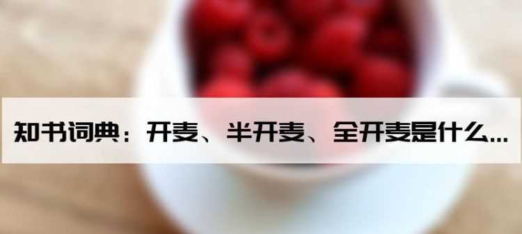 怎么区分全开麦和半开麦音响