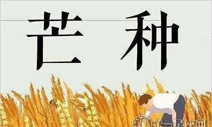 仲夏末尾是几月几日