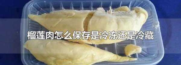 榴莲肉冷冻还是冷藏,榴莲的果肉怎么保存是冷冻还是冷藏图2