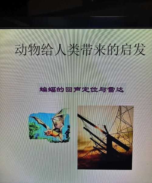 人们从哪些动物身上得到了什么启示