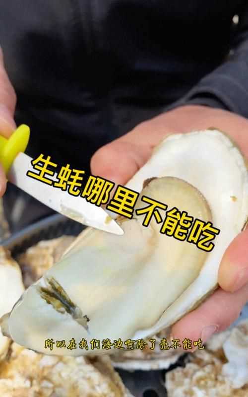 生蚝里面有像屎一样的是什么能吃吗