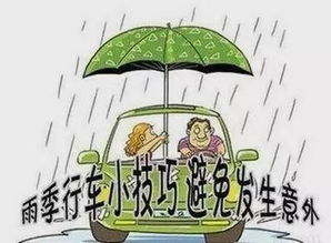 雨季汛期安全行车知识