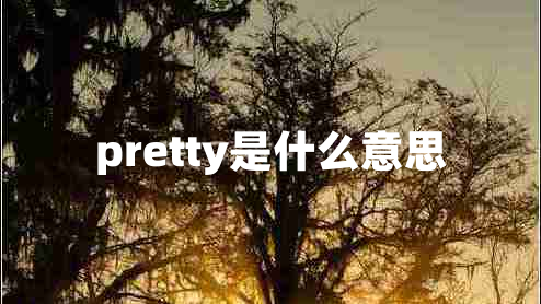 pretty是什么意思