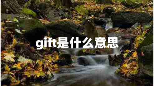 gift是什么意思