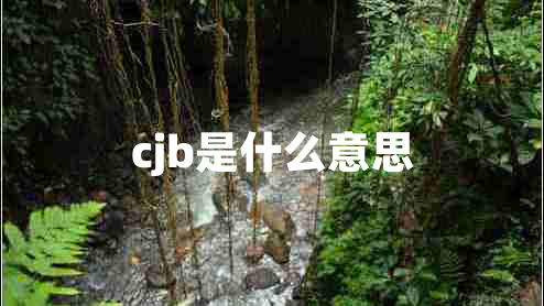 cjb是什么意思