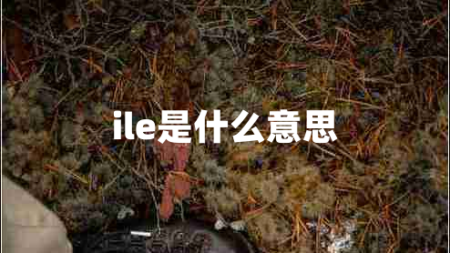 ile是什么意思