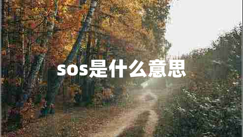 sos是什么意思