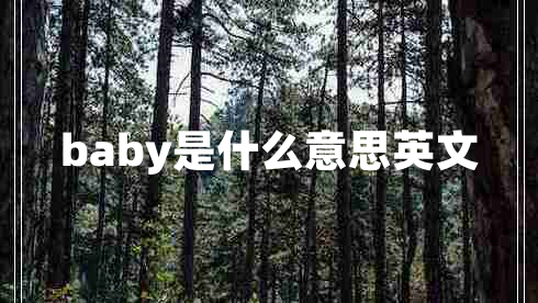 baby是什么意思英文