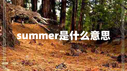 summer是什么意思