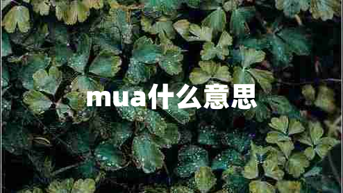 mua什么意思