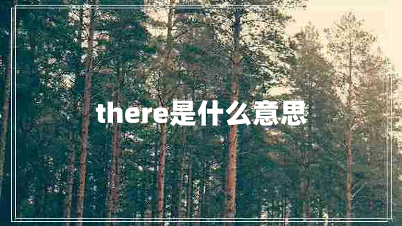 there是什么意思