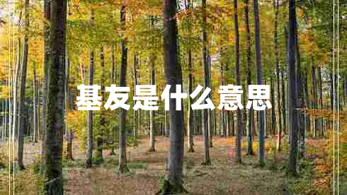 基友是什么意思