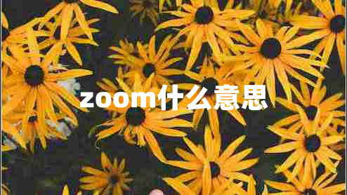 zoom什么意思