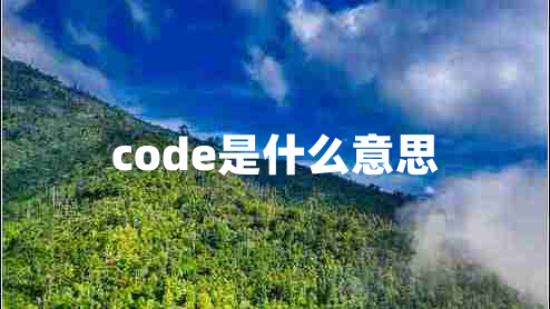 code是什么意思