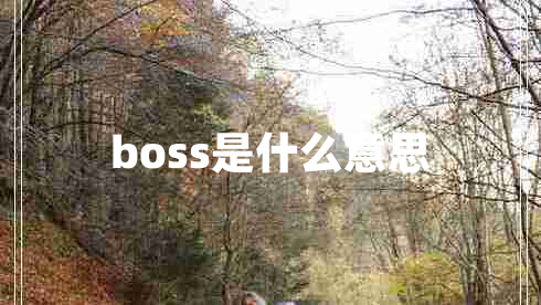 boss是什么意思