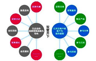 网站运营策划方案书