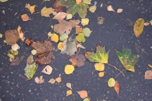 下雨天,句子,朋友圈,能量