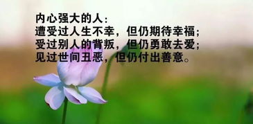 句子,能量