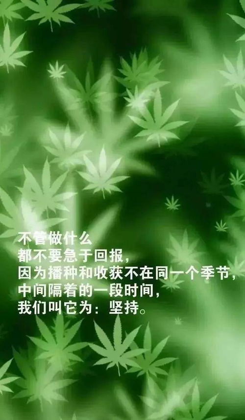 适合发朋友圈早安正能量的句子