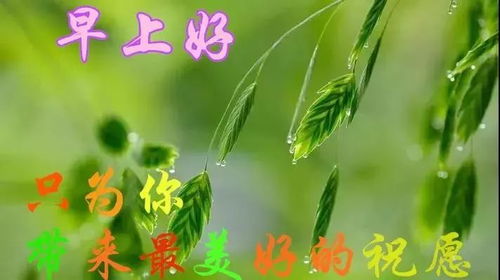 句子,能量,温暖,阳光