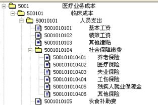 会计科目编码表二级科目