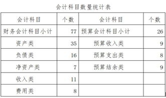 会计科目,设置,政府