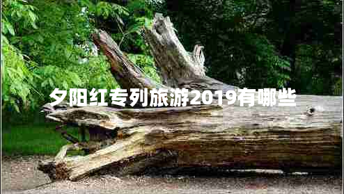 夕阳红专列旅游2019有哪些