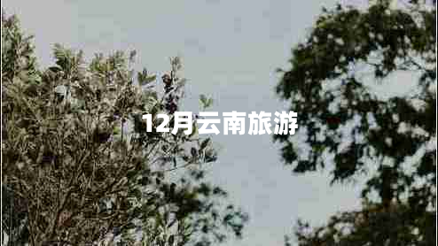 12月云南旅游