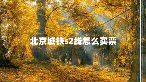 北京城铁s2线怎么买票