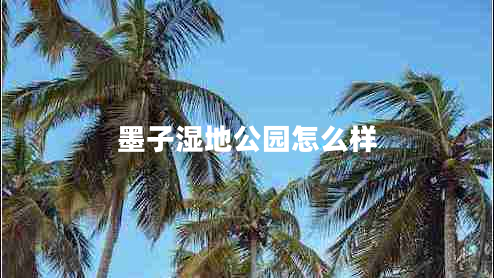 墨子湿地公园怎么样