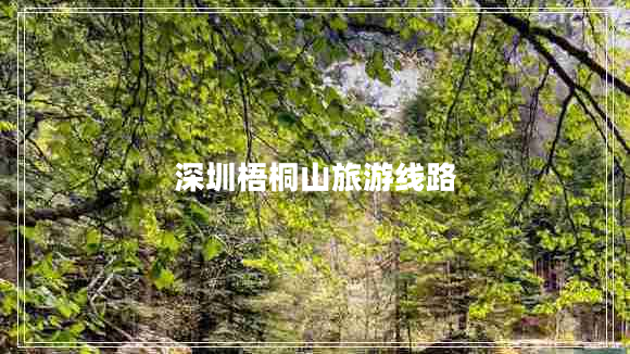 深圳梧桐山旅游线路