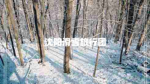 沈阳滑雪旅行团