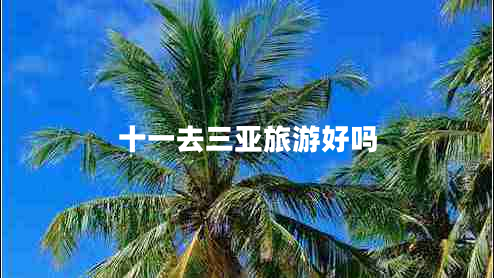 十一去三亚旅游好吗