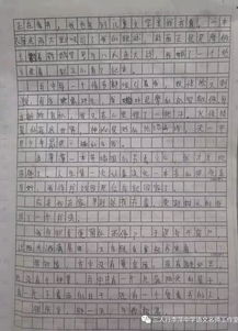 那一天我与你相遇五百字作文开头