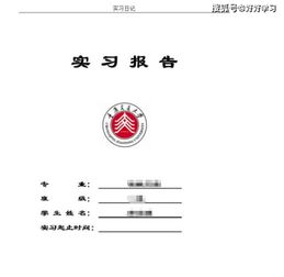 对大学生专业实习的观察3000字报告(对大学生专业实习的观察)