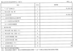 财政经费预算报告(经费预算报告)