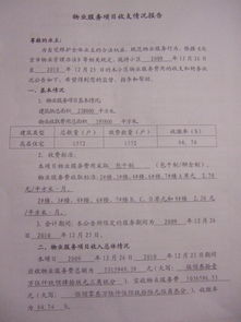 关于物业服务收支情况报告范本(资金收支管理情况自查报告)