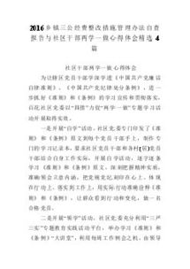 乡镇公务接待情况自查报告(公务接待情况自查报告)