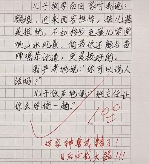 一个我关心的人小学作文开头结尾