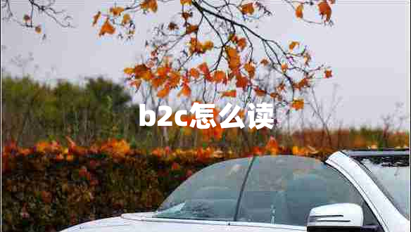 b2c怎么读