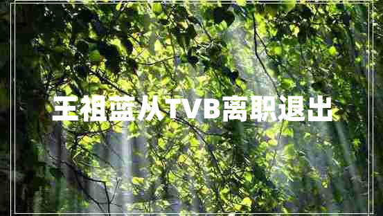 王祖蓝从tvb离职退出