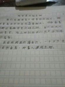 在校园里的事关于成长的作文450字,关于校园成长的作文,校园成长类作文