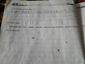 我们的校园150字三级作文