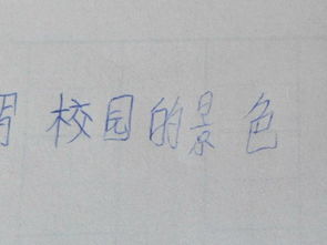 描写校园的作文三百五十字