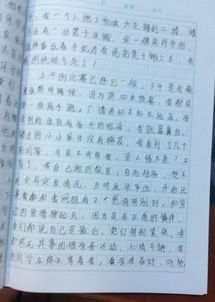 感觉校园的美好作文1000字