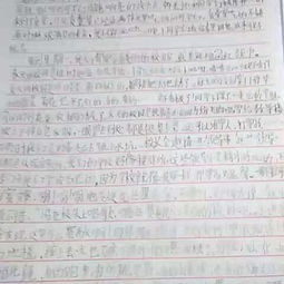 志愿者服务作文1000字,关于校园志愿者的作文300字,校园志愿者作文400字