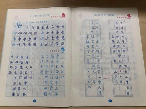 作文,五级,完美,校园