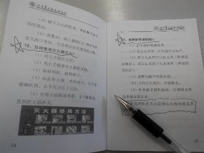 作文,心得体会,安全教育,校园