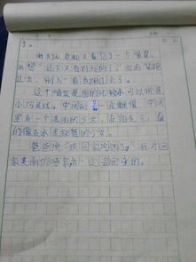 人文景观,作文,字左右,校园