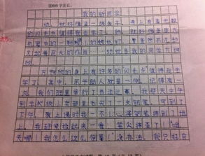 校园同学合作的作文600字